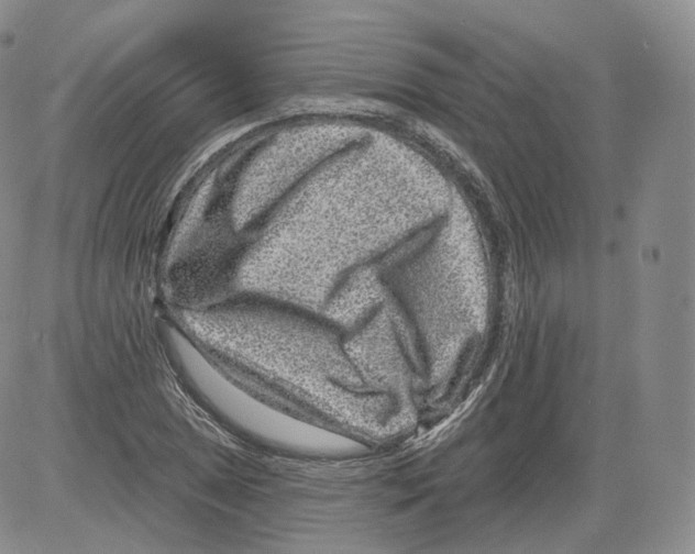 X0000082761025200702240059