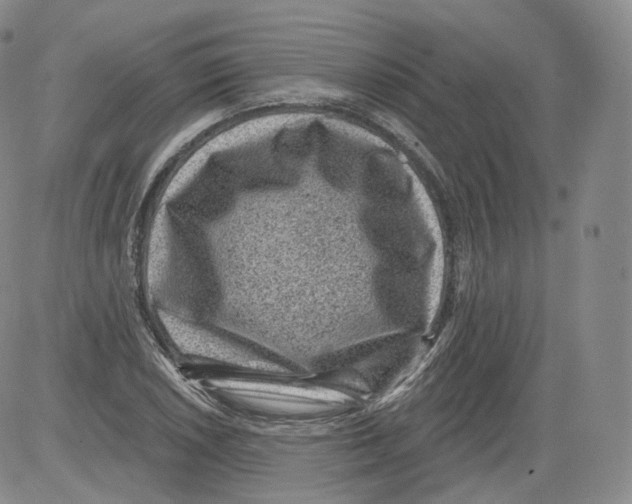 X0000082761026200702240059