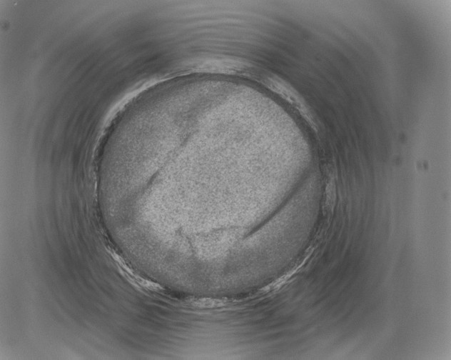 X0000082761027200702240059