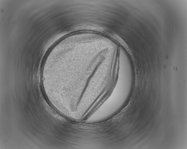 X0000082761028200702240059