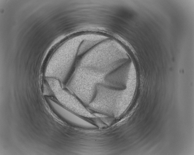 X0000082761029200702240059