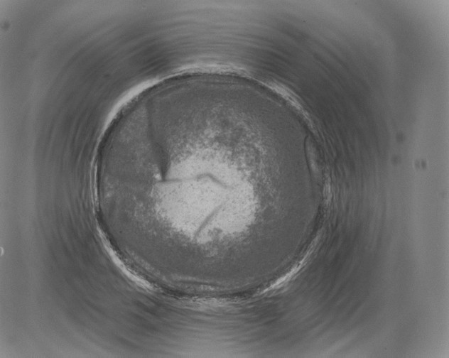 X0000082761030200702240059