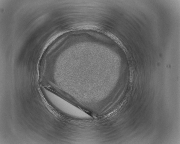 X0000082761031200702240059