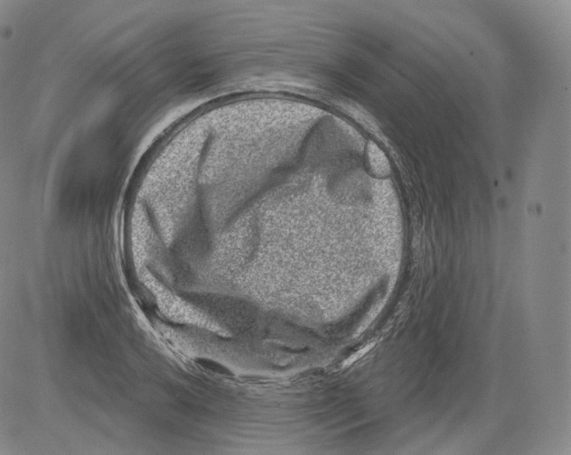 X0000082761032200702240059