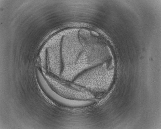 X0000082761033200702240059