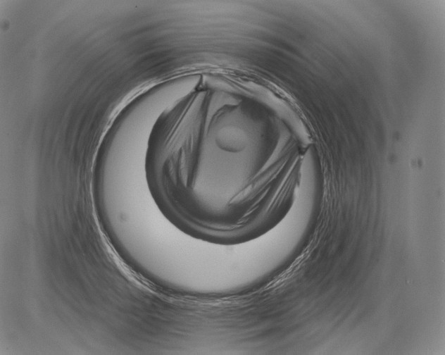 X0000082761034200702240059