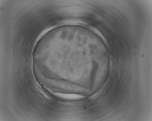 X0000082761035200702240059