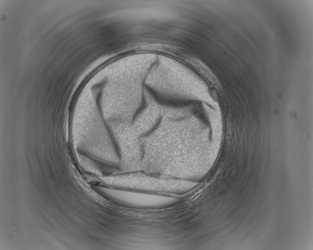 X0000082761036200702240059