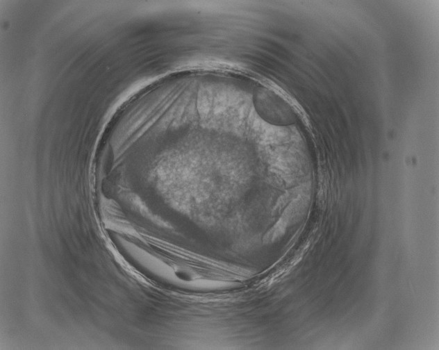 X0000082761037200702240059