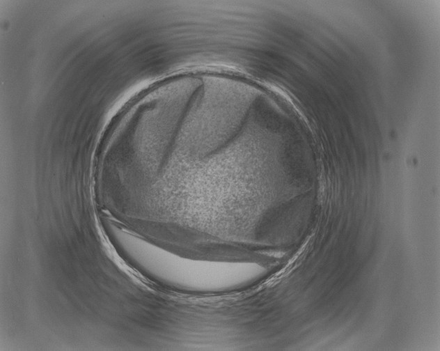 X0000082761038200702240059