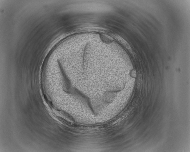 X0000082761039200702240059