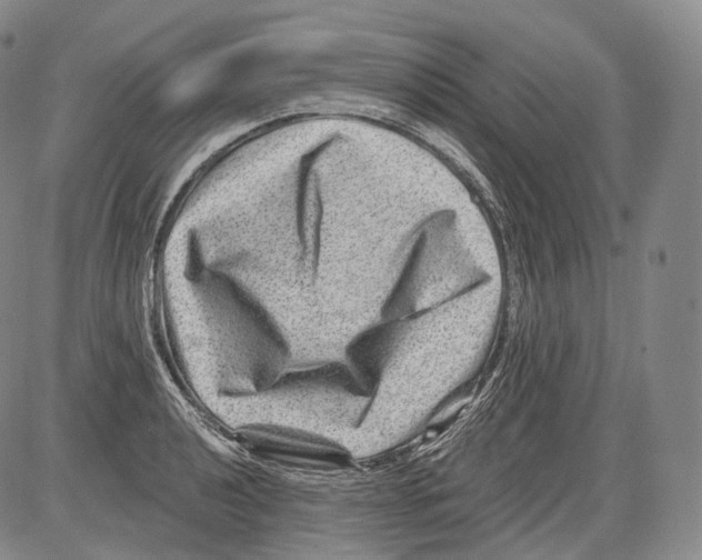 X0000082761040200702240059