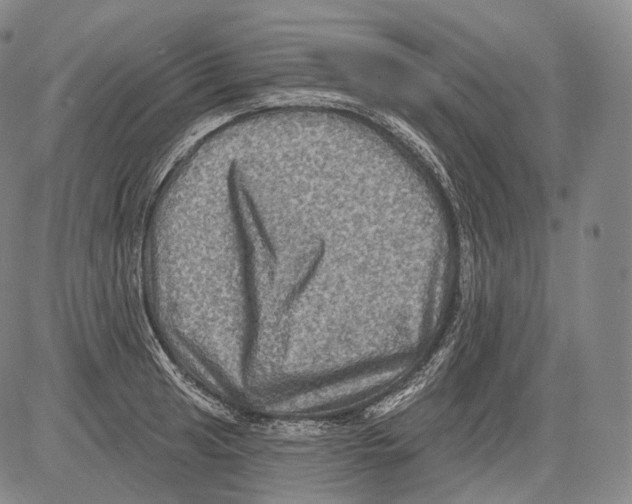 X0000082761041200702240059