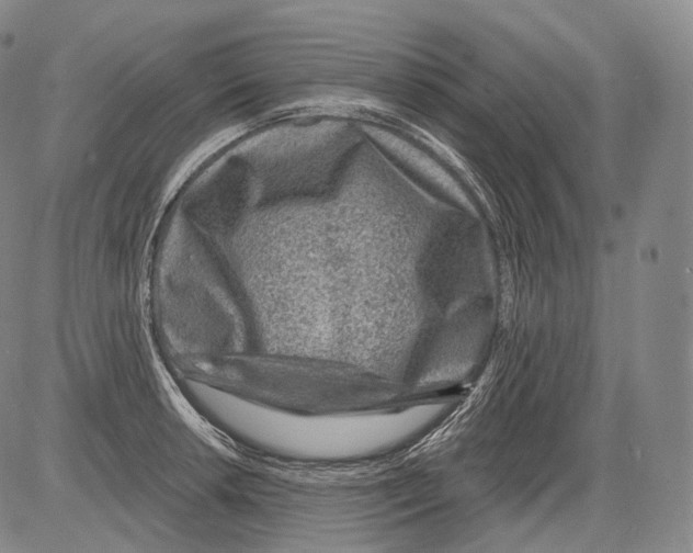 X0000082761042200702240059