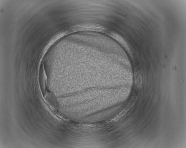 X0000082761043200702240059