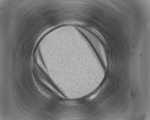 X0000082761044200702240059