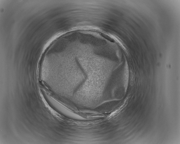 X0000082761046200702240059