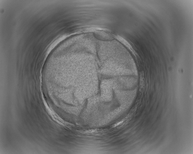 X0000082761047200702240059