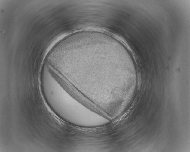 X0000082761048200702240059