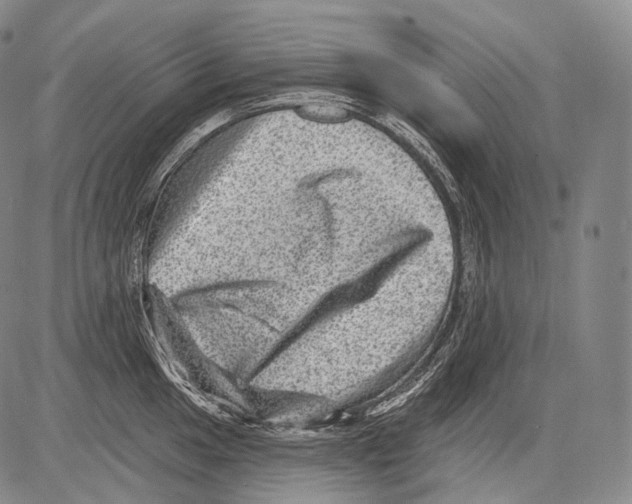 X0000082761049200702240059