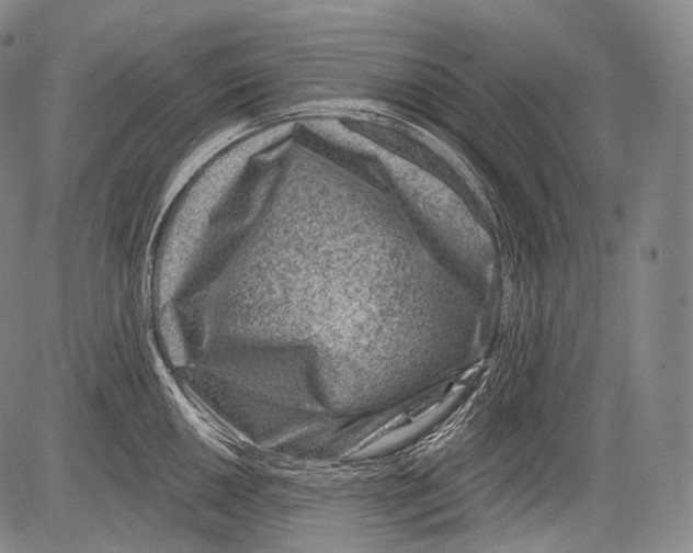 X0000082761050200702240059