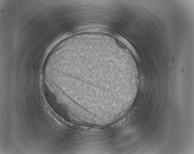 X0000082761051200702240100