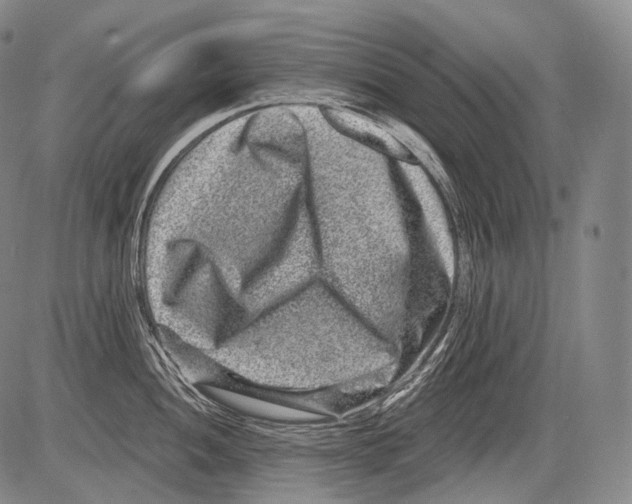 X0000082761052200702240100