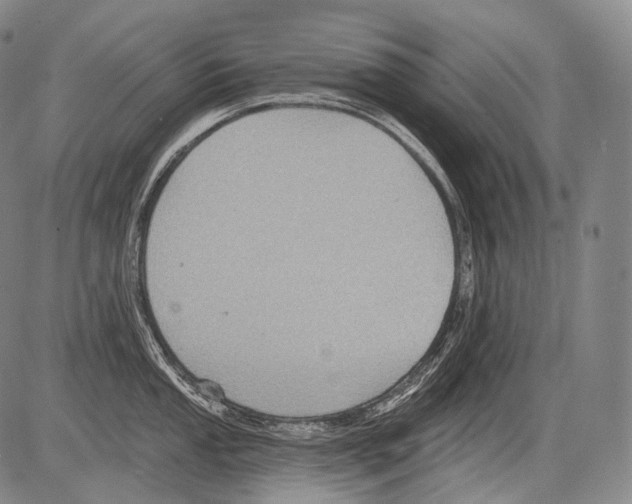 X0000082761053200702240100