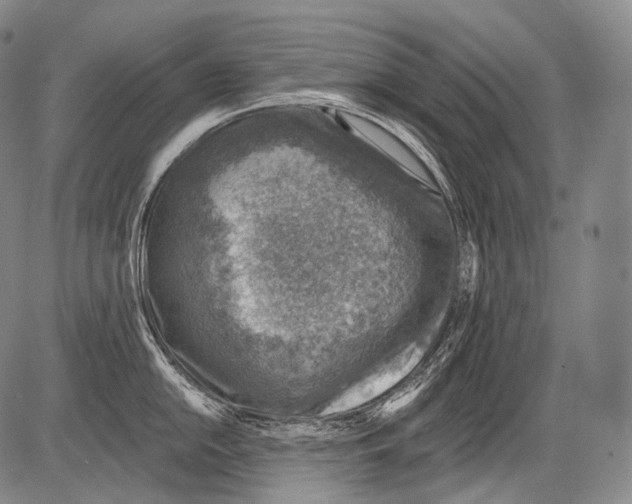 X0000082761054200702240100