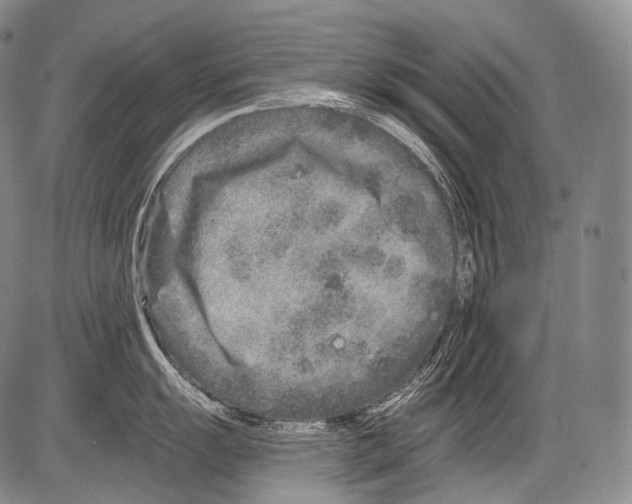 X0000082761055200702240100