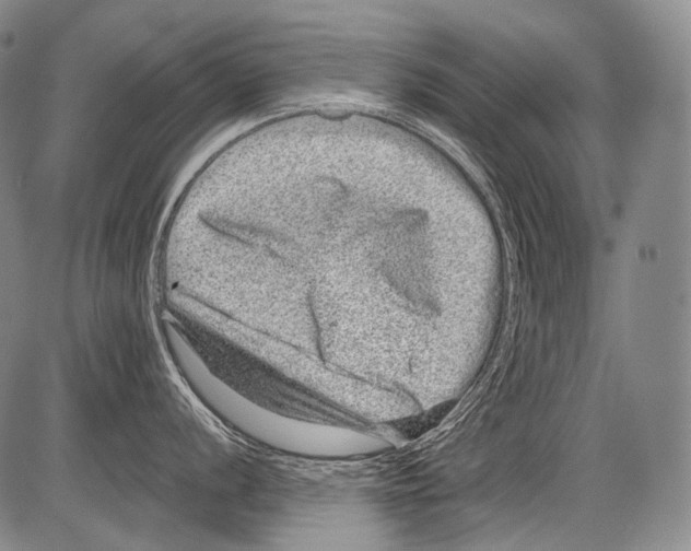 X0000082761056200702240100