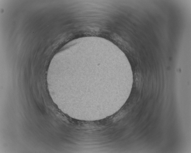 X0000082761057200702240059