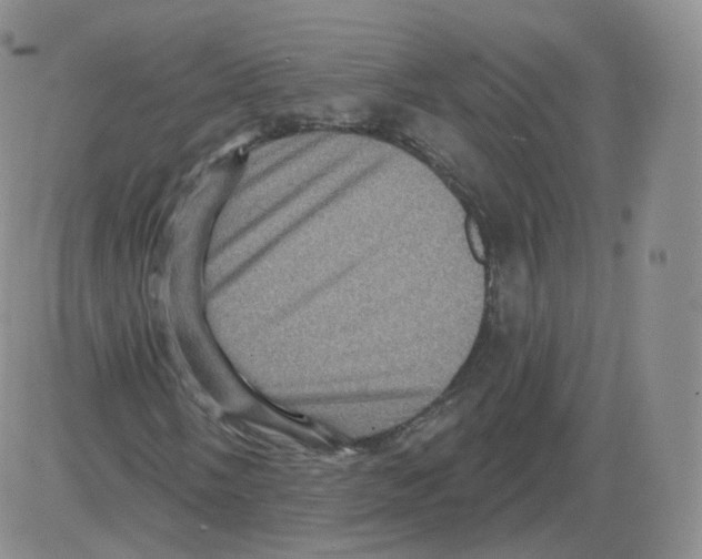 X0000082761058200702240059