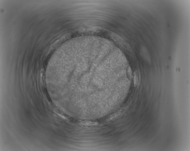 X0000082761059200702240059