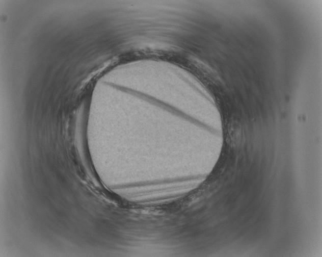 X0000082761061200702240059