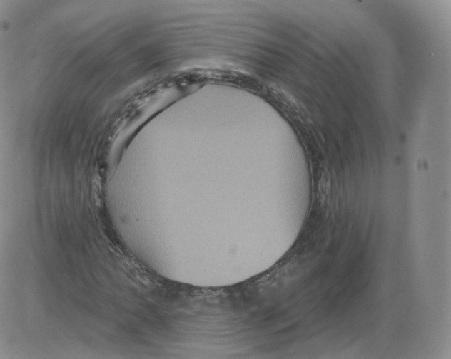 X0000082761062200702240059