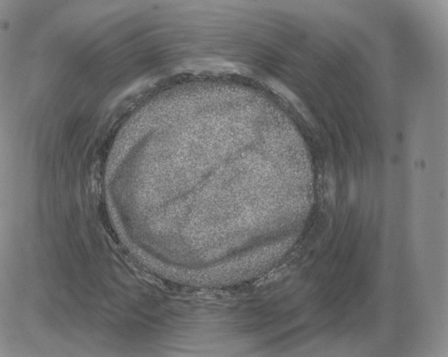 X0000082761063200702240059