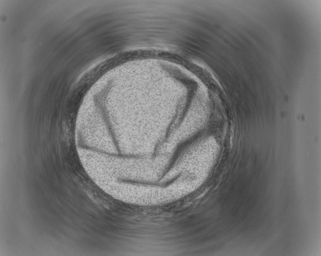 X0000082761064200702240059