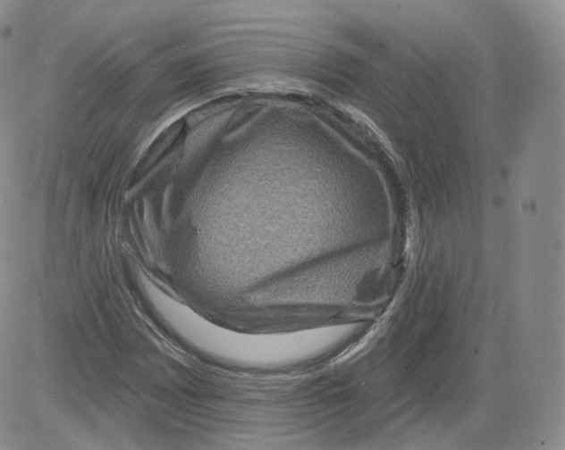 X0000082761065200702240059