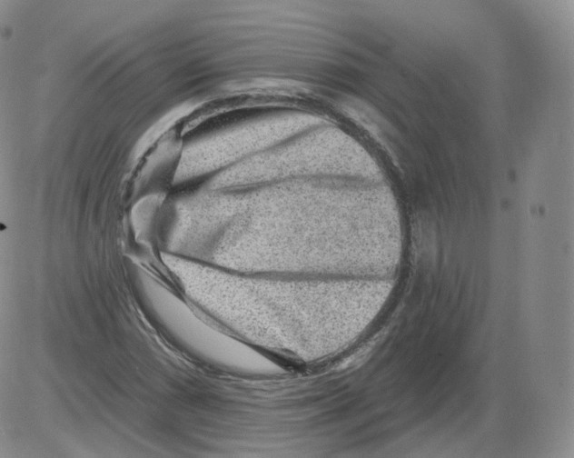 X0000082761066200702240059