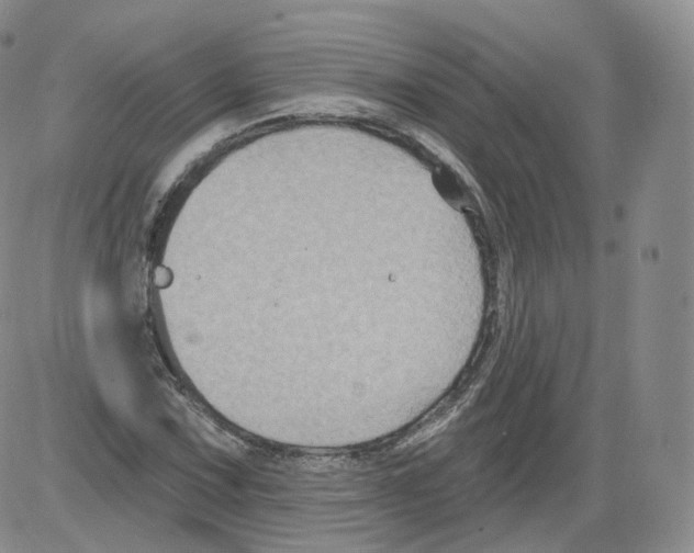 X0000082761067200702240059