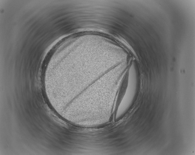 X0000082761068200702240059