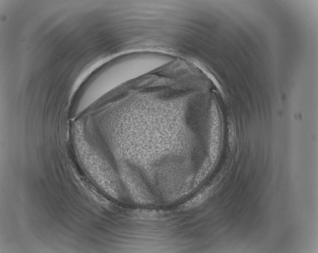 X0000082761069200702240059