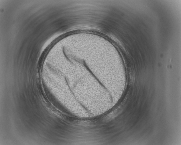 X0000082761070200702240059