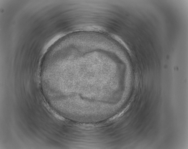 X0000082761071200702240059