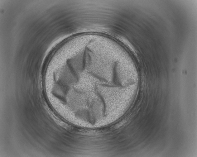 X0000082761072200702240059