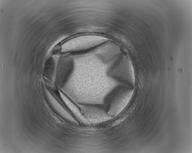 X0000082761073200702240059