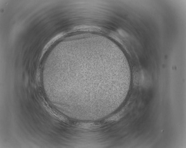 X0000082761074200702240059