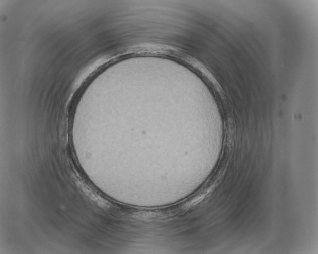 X0000082761075200702240059