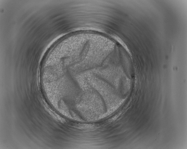 X0000082761076200702240058